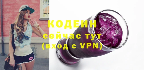 твердый Гусев