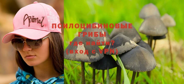 a pvp Кемь