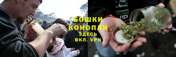 твердый Гусев