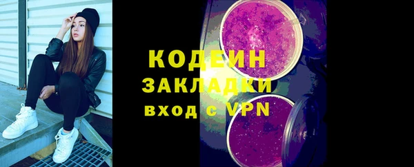 твердый Гусев