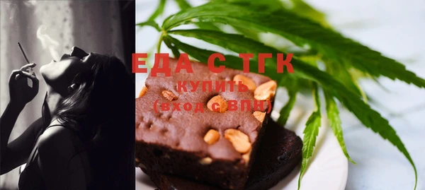 твердый Гусев
