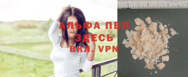 хмурый Кедровый