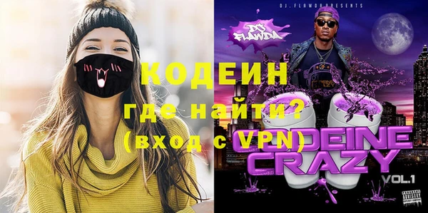 твердый Гусев