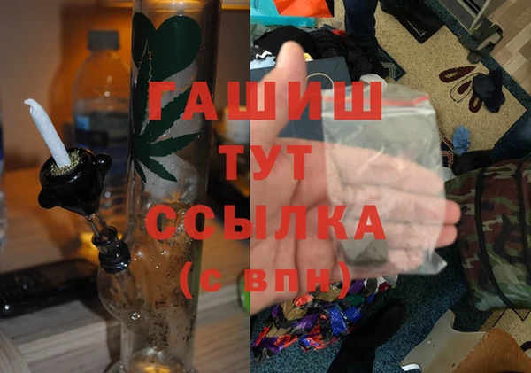 твердый Гусев