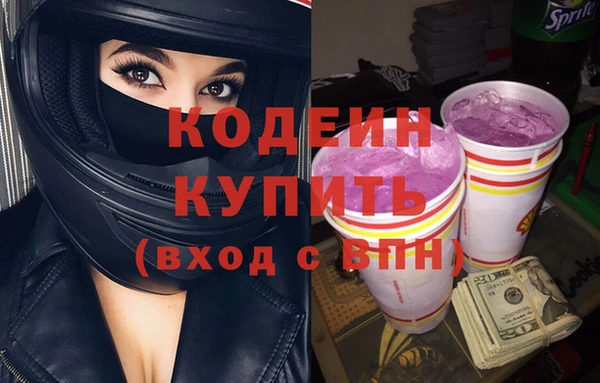 твердый Гусев