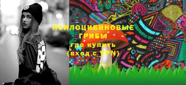 прущий лед Гусь-Хрустальный