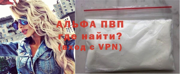 твердый Гусев