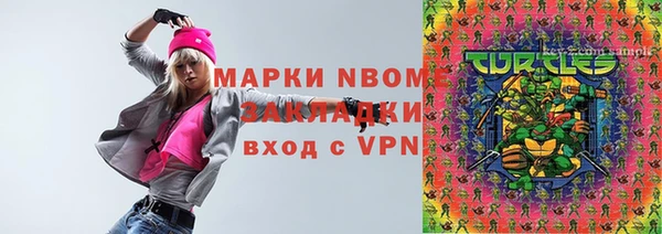 твердый Гусев