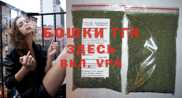 твердый Гусев