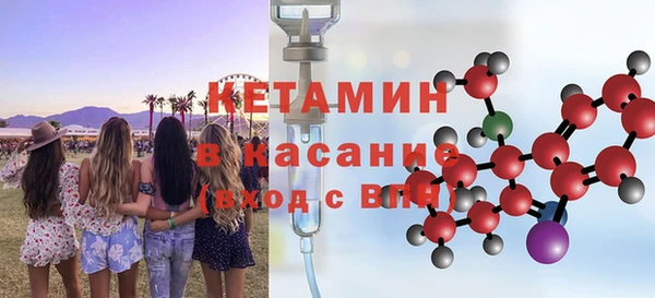 хмурый Кедровый