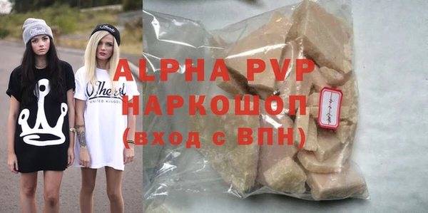твердый Гусев