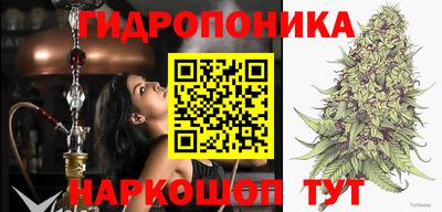 гашик Камышлов
