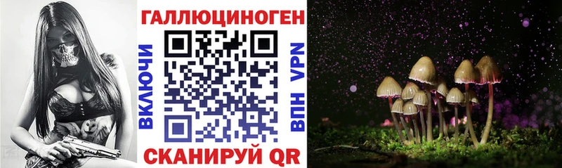 ссылка на мегу ссылка  Мценск  Псилоцибиновые грибы GOLDEN TEACHER 