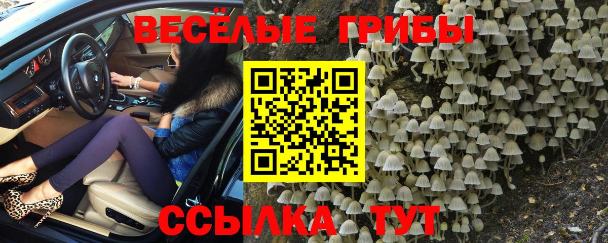 ЭКСТАЗИ  Мценск  APVP СК   Меф МЯУ МЯУ кристаллы  Марихуана  MDMA  Cocaine  ГАШИШ  Вход с VPN 