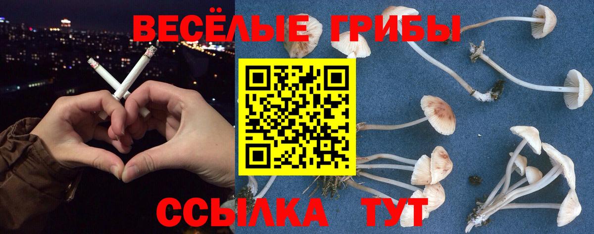 Галлюциногенные грибы мицелий Мценск