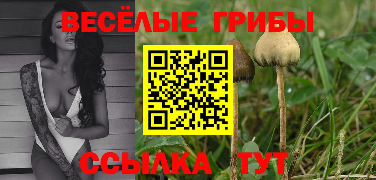 Псилоцибиновые грибы мухоморы  Вход с VPN  Мценск 